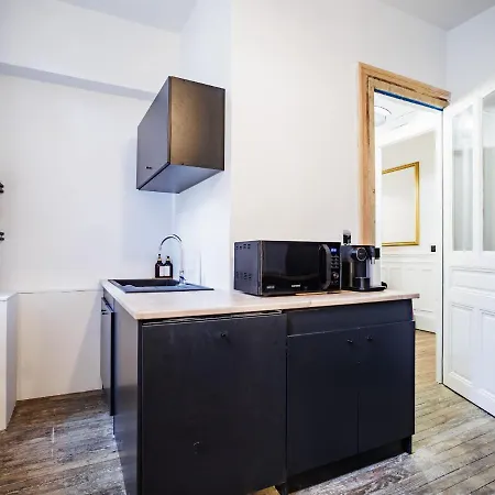 Apartment Goldswan, Chic Et Confortable Au Coeur De ! Troyes