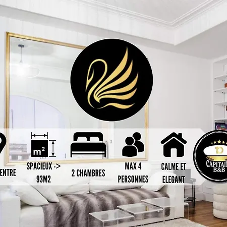 Apartment Goldswan, Chic Et Confortable Au Coeur De ! Troyes